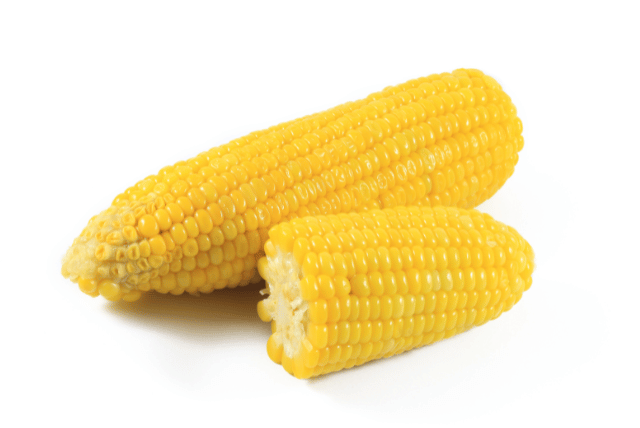 kukorica